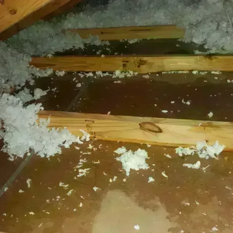 Attic Water Damage in McPherson County, SD