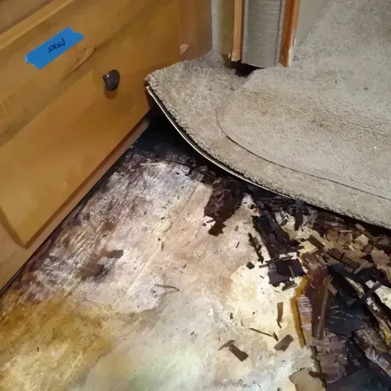 Wood Floor Water Damage in McPherson County, SD